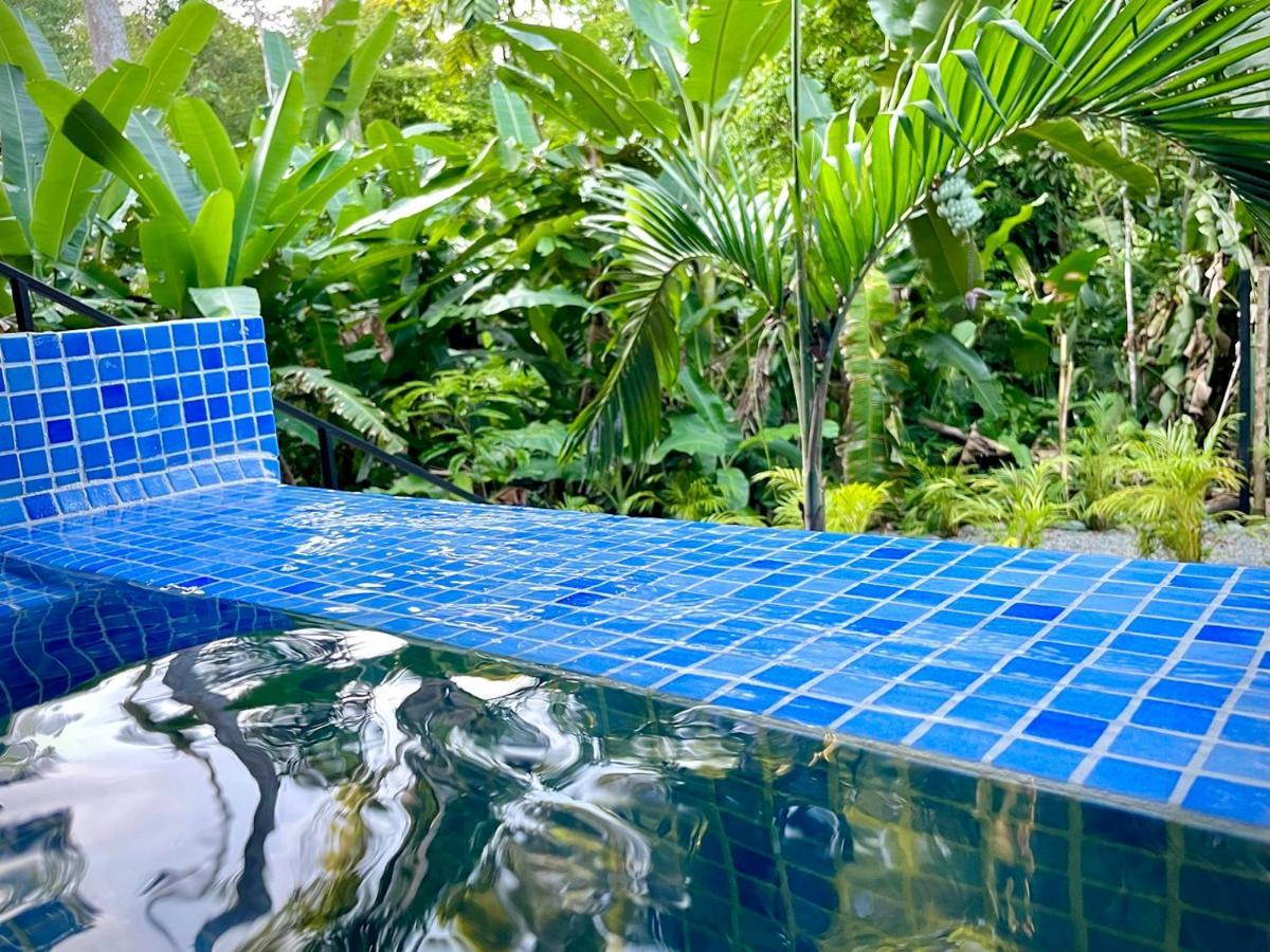 Villa Joeyshe- New Luxury Villa With Pool & Ac Puerto Viejo de Talamanca Kültér fotó